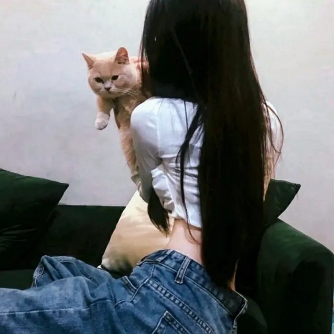 摄影师贝尔蒂与海豚零距离